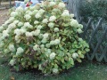 IMG_7561 (2)