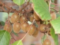 IMG_7570 (2)
