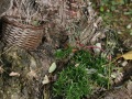 IMG_7578 (2)