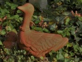 IMG_7590 (3)