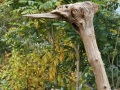 IMG_7602 (2)