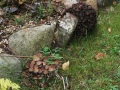 IMG_7604 (2)